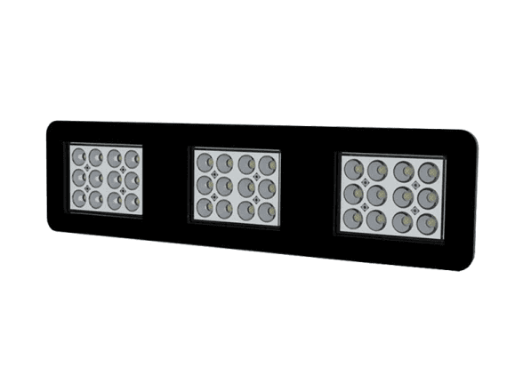 MIPLANTS MIDI 