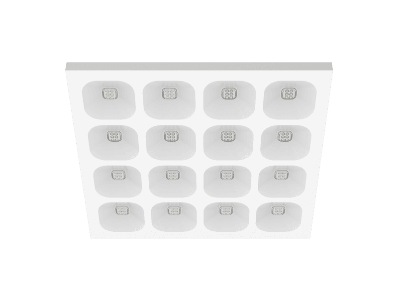 LEXO